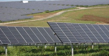 «No al fotovoltaico sui terreni a danno delle produzioni». La battaglia di Coldiretti Calabria