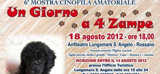 Rossano, il 18 agosto i cani protagonisti con la sesta edizione di “Un giorno a 4 zampe”