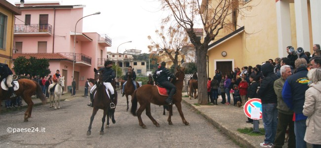 Amendolara, animali si ritrovano per benedizione Sant’Antonio. Passerella di cavalli e cavalieri (FOTO)