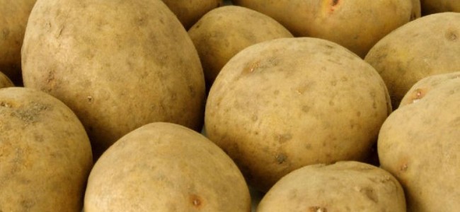 Dai limoni di Rocca alle patate della Sila. Un’associazione per valorizzare prodotti Dop e Igp