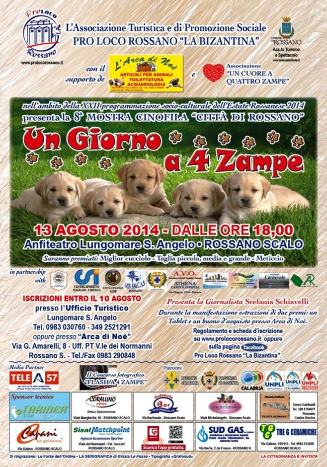 Cani in passerella a Rossano per la mostra cinofila “Un giorno a 4 zampe”