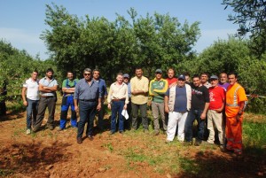 concorso potatura terranova sibari