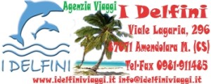 banner i delfini articoli