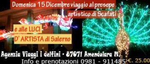 delfini 15 dicembre