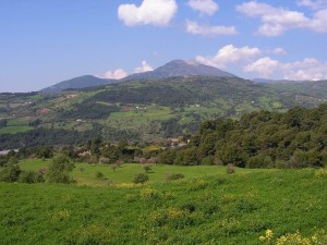 Un oaesaggio dell'Alto Jonio