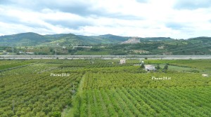 I limoneti di Rocca Imperiale