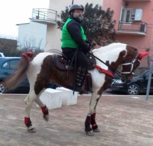 Cavallo più bello palio treby 2017